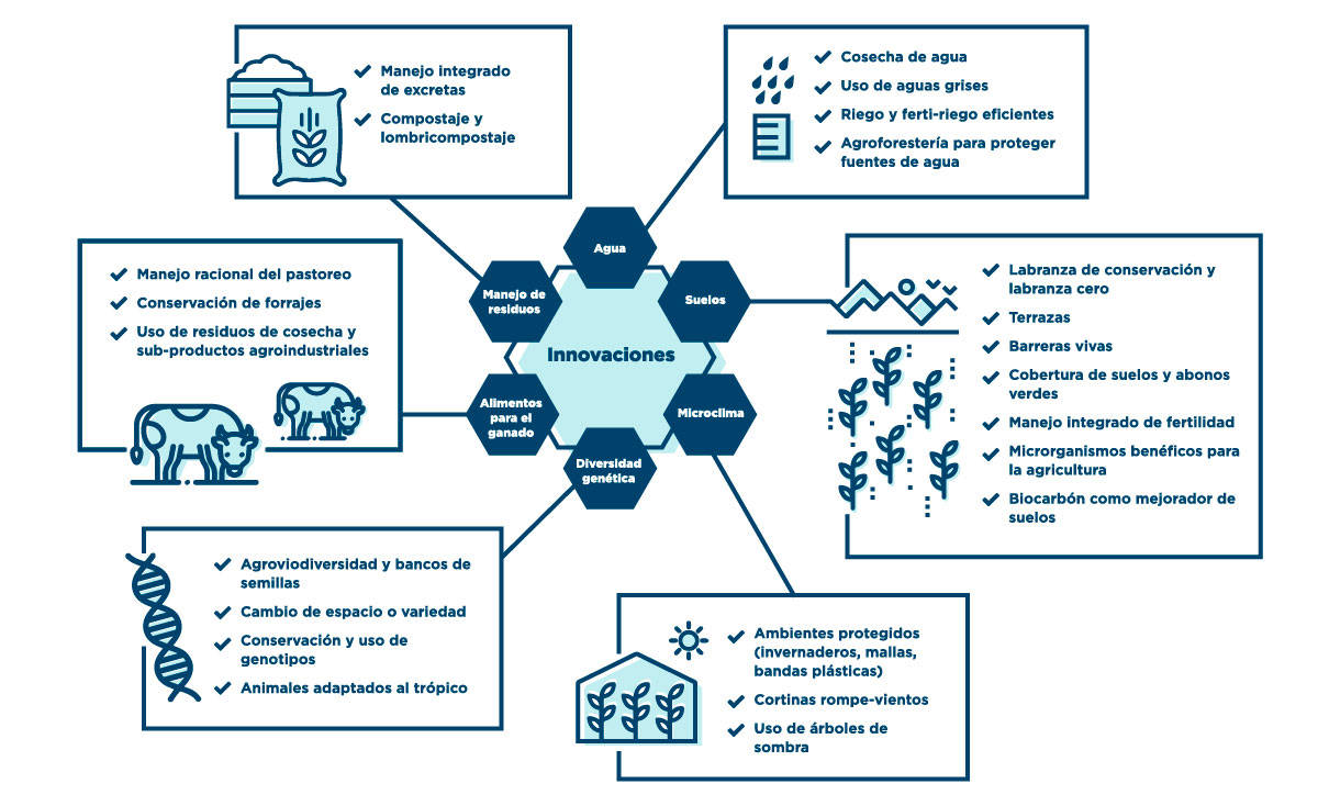 Innovaciones para la adaptación al cambio climático