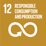 {"nombre": "Responsible consumption and production", "descripcion": "Ensure sustainable consumption and production patterns"}