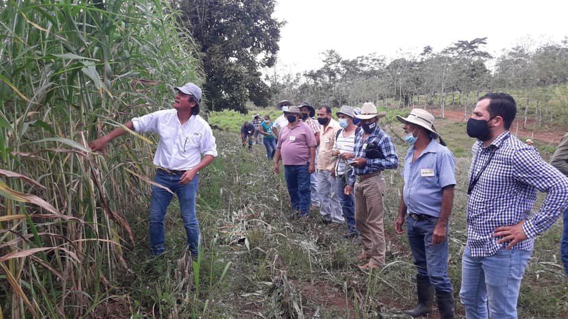 Validación en finca Taller presencial 1 CR