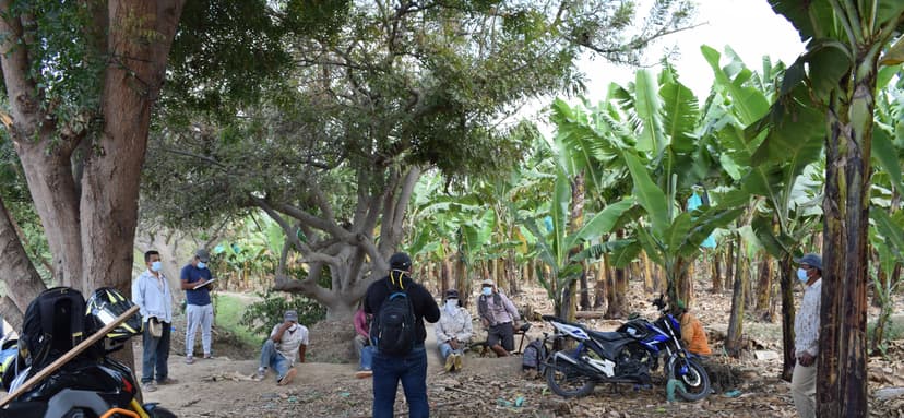 Conversación con productores  sobre el registro biométrico en banano en el sector de Santa Sofia- Perú