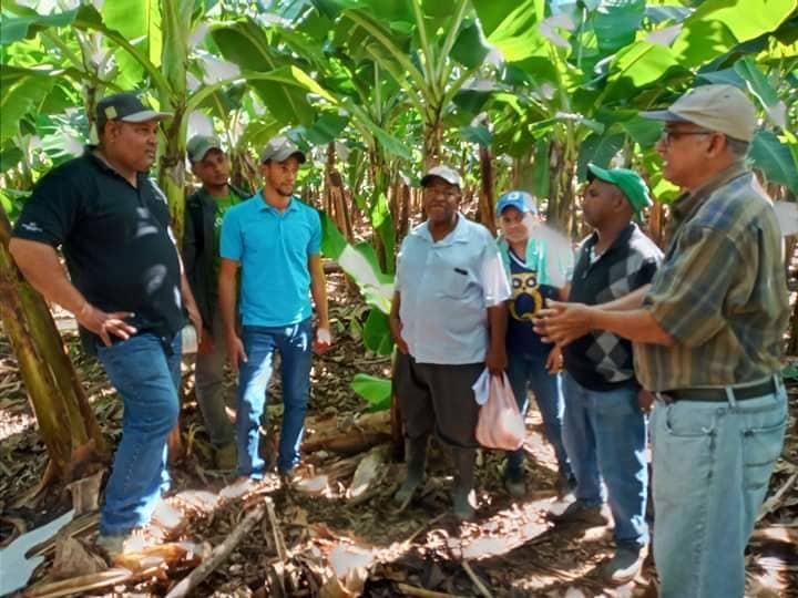 Capacitación a productores en campo