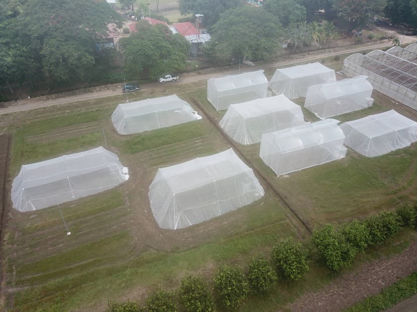 Imagen aérea de estructuras de ambiente protegido ubicadas en la Estación Experimental Enrique Jiménez Núñez INTA Costa Rica