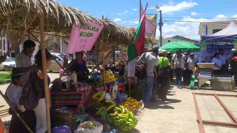 Feria, Bolivia