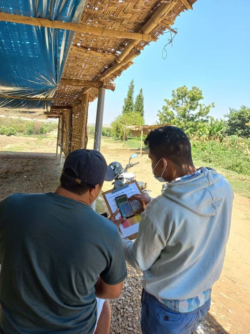 Enseñando al productor el uso del app AHORA y encuesta. Sector Valladares. COOPAG_Perú