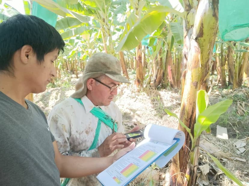 Conocimiento del APP AHoRa y encuesta a productor. Sector Garabato Chico. Marcavelica. APBOSMAM