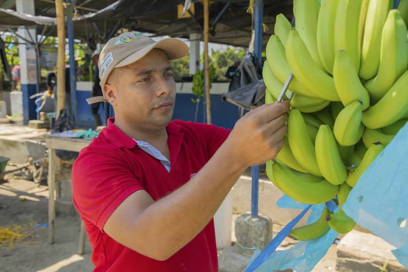 técnico tomando medida de dedos