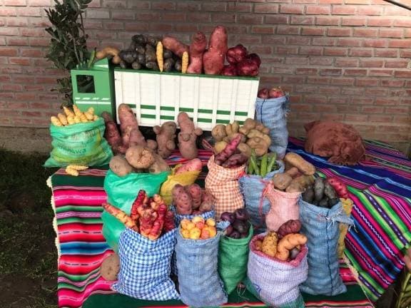 Feria de papas y tubérculos andinos - Bolivia