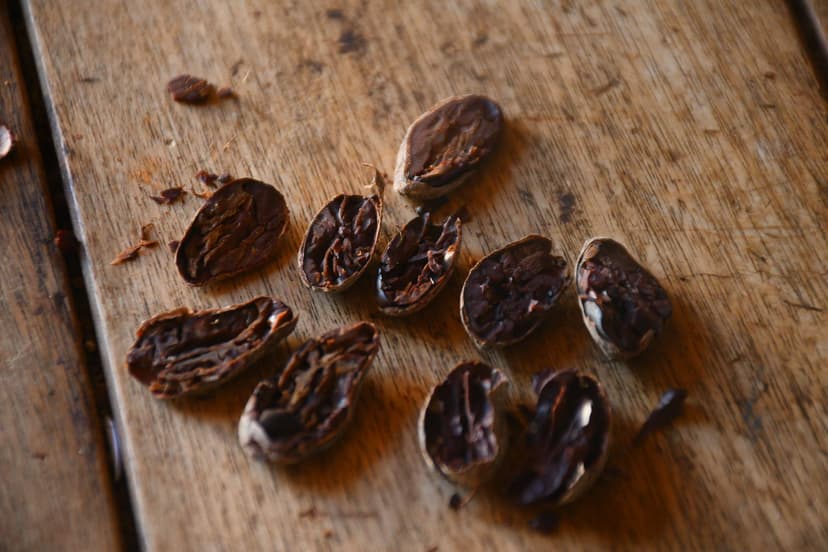 Experiencias de campo