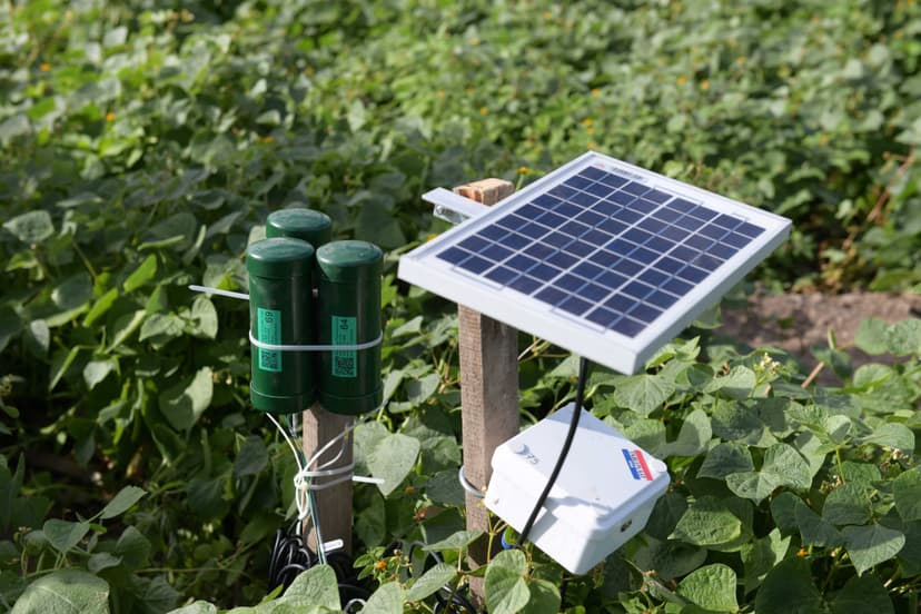 Prototipo expuesto con testigo