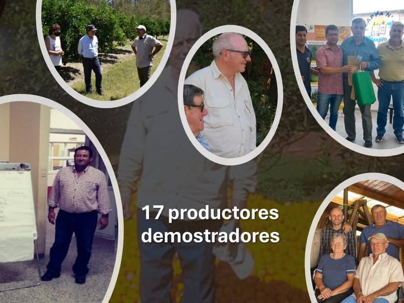 Productores demostradores 