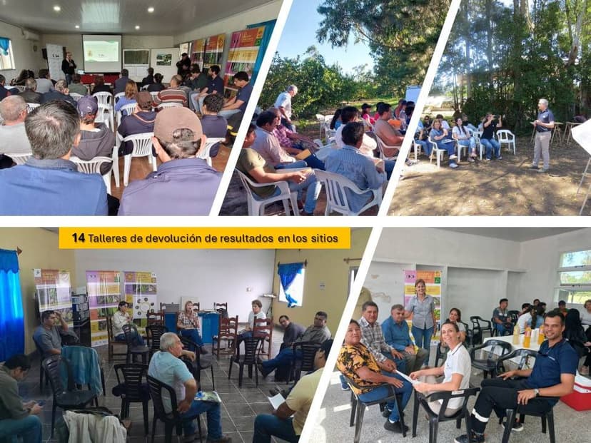 Talleres de devolución de resultados 