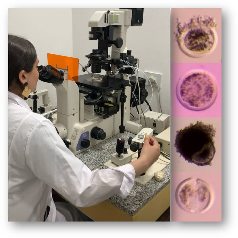 Edición génica animal