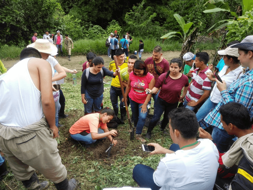Capacitación en manejo de suelos en Colombia
