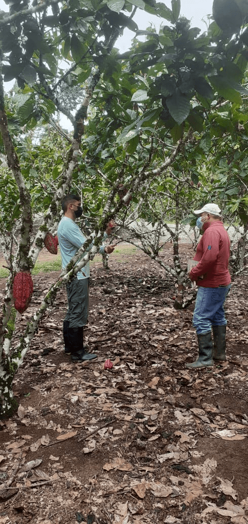 Capacitación a técnicos sobre cadmio en Ecuador 