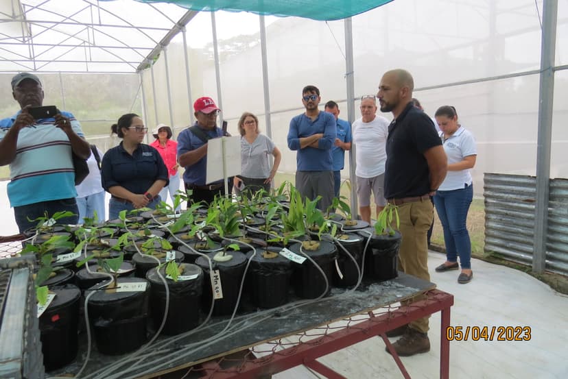 Ensayo del elemento faltante en Costa Rica