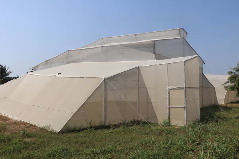 Invernadero construido en el centro de investigación Caribia AGROSAVIA - COLOMBIA