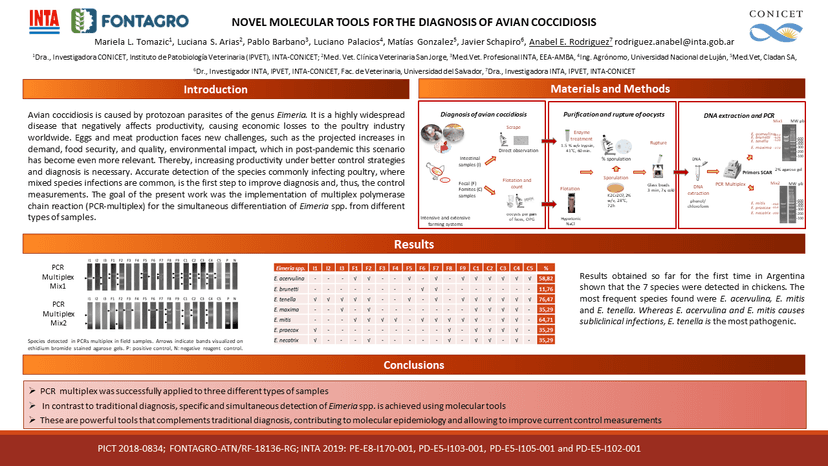 NOVEL MOLECULAR TOOLS FOR THE DIAGNOSIS OF AVIAN COCCIDIOSIS