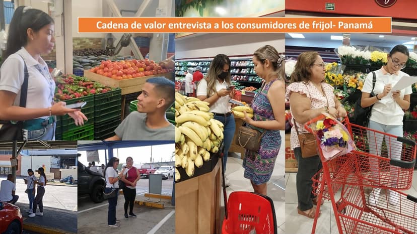Entrevista a consumidores de frijol-Panamá