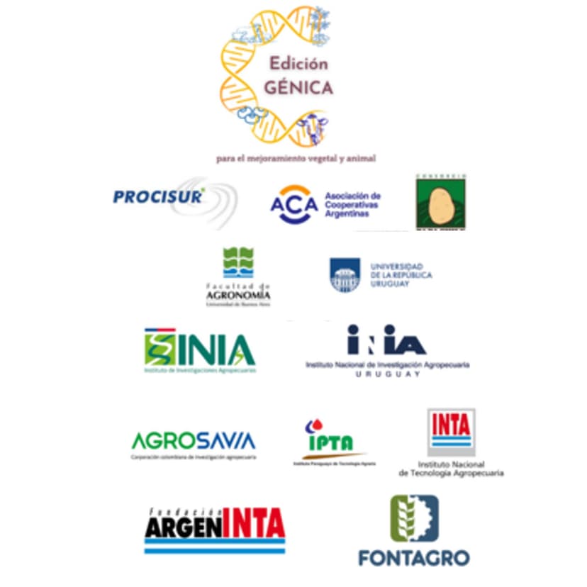 Instituciones participantes