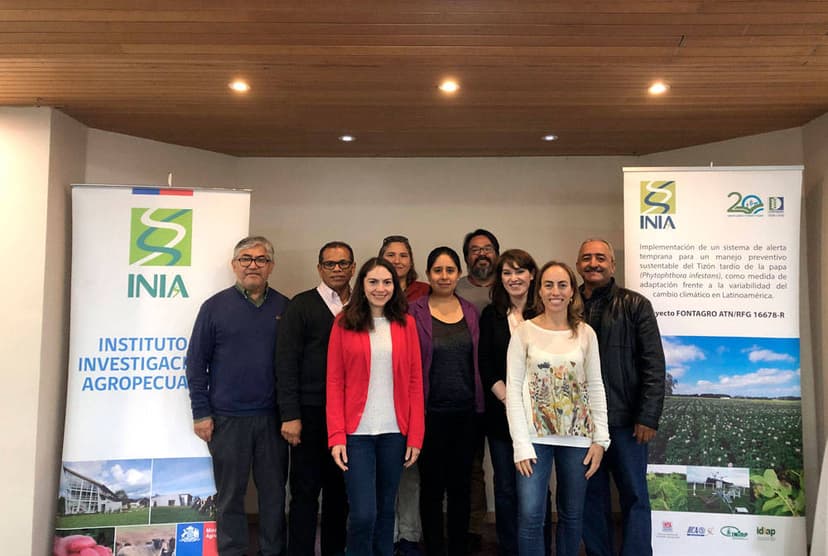 Plataforma de especialistas