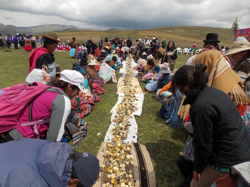 “Apthapi”, costumbre ancestral que consiste en degustar entre todos los miembros de la comunidad una merienda con productos cultivados en la región, como papa, oca, quinua, izaño y otros.