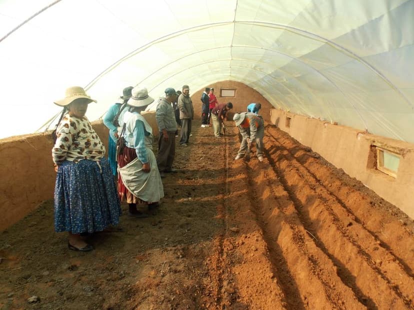 Preparación de camellones por estudiantes, profesores y padres de familia (Junta Escolar), para siembra directa o trasplante de hortalizas en el componente agrícola de producción de hortalizas en carpas solares en el Módulo Demostrativo de Pillapi (La 