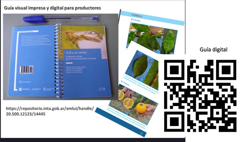 Guía HLB para productores