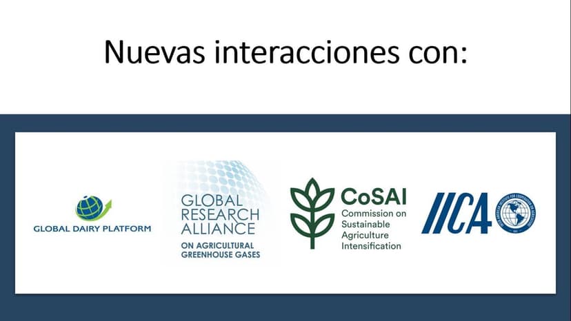 logos nuevos contactos