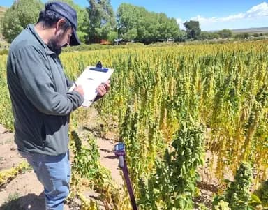 Nanotechnology in agricultural soil moisture management