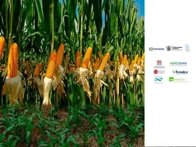 Leveraging biological products to build climate resilience
