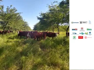 Integration of production systems as a strategy for climate change mitigation and adaptation 