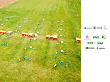 Nitrogen optimization: Strategies to address the climate crisis in food production