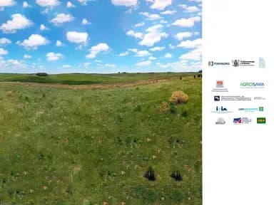 Satellite monitoring of quantity and quality of available biomass in pastoral livestock systems
