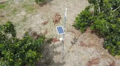 Tropical Agriculture 4.0: efficient water management
