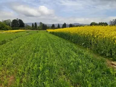Online crop management support platform 