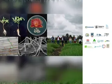 Platform for the transfer and efficient use of biologicals on Latin American farms

