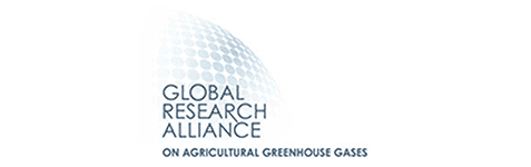 Global Research Alliance on Agriculture Greenhouse Gases