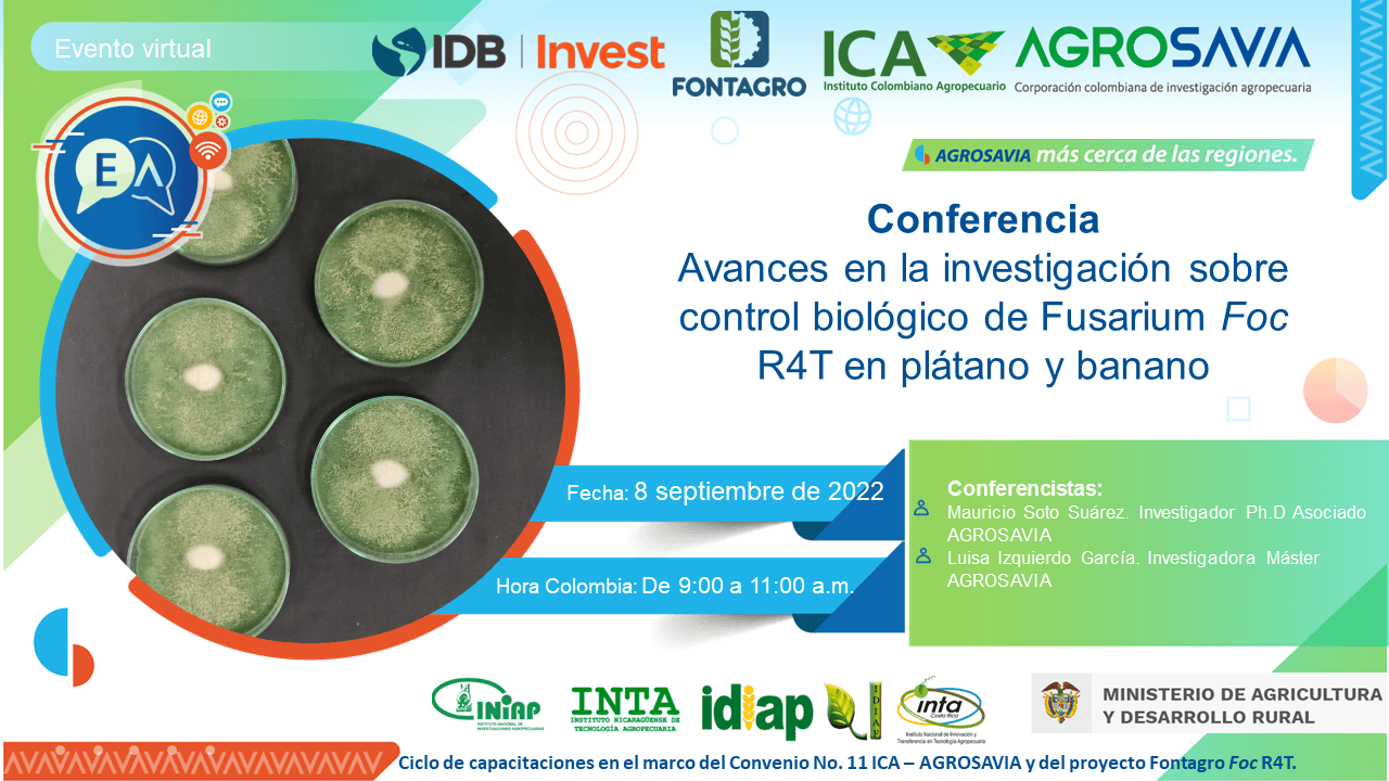 Conferencia Virtual: Avances en investigación sobre control biológico de Fusarium Foc R4T
