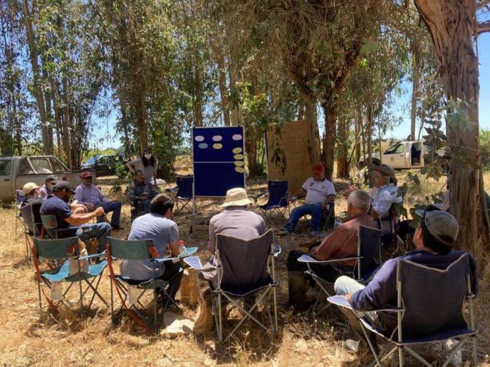 Taller para evaluar la estrategia de cultivo en cada parcela de práctica con los Grupos de Innovación Participativa (GIP) Ñuble