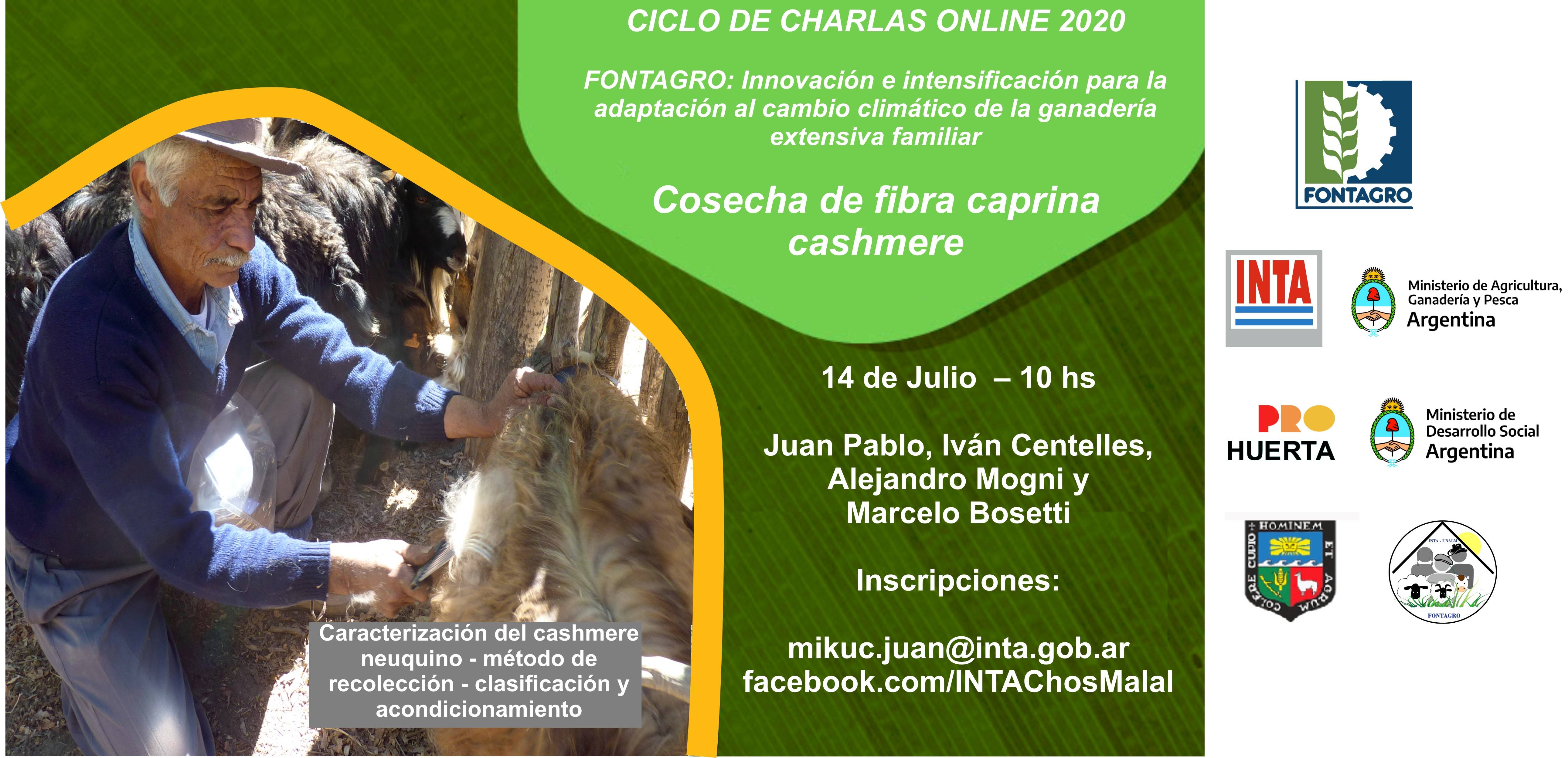Charla online: Cosecha de fibra cashmere