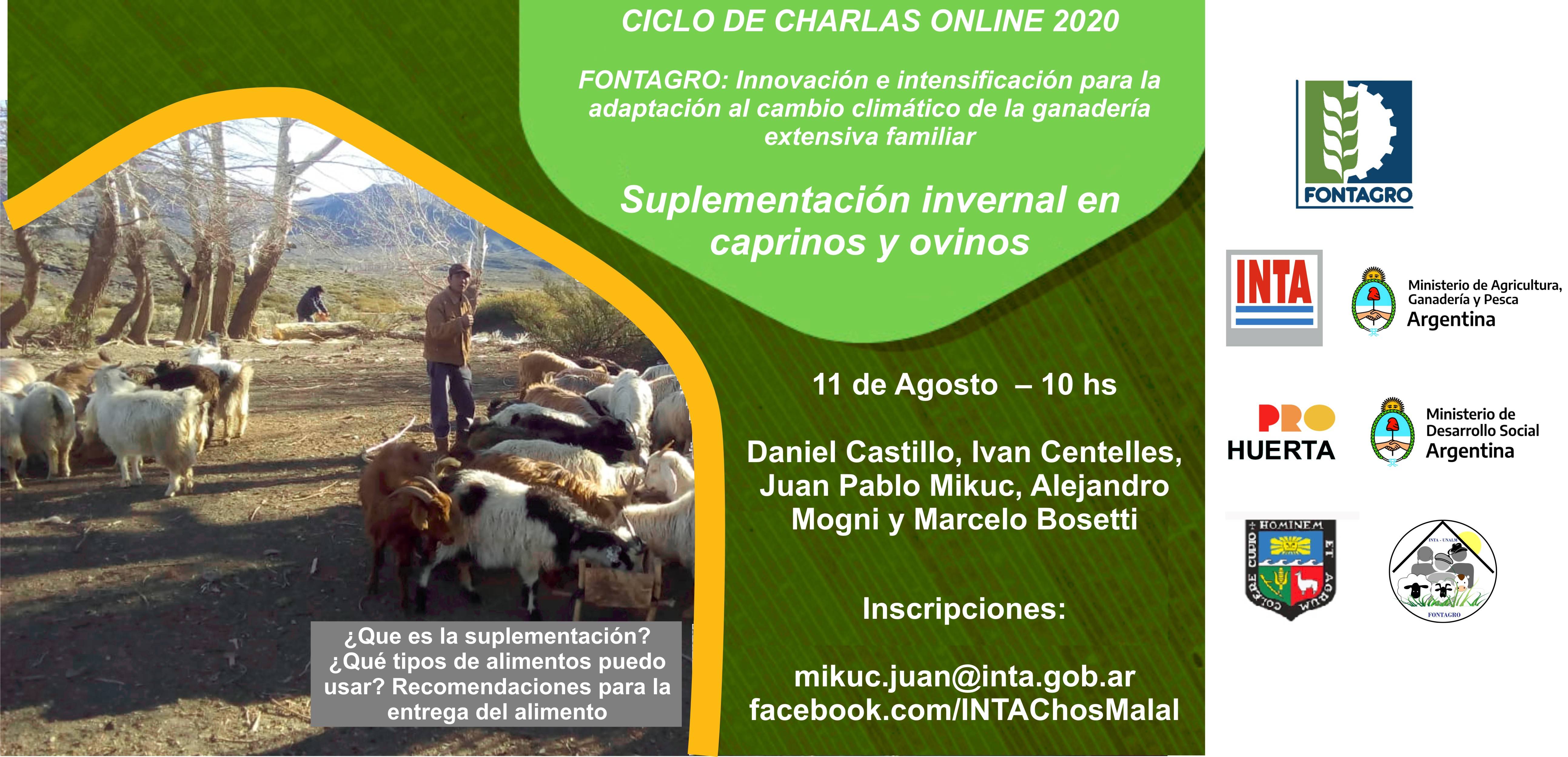 Charla online: Suplementación invernal pre-parto en carpinos y ovinos