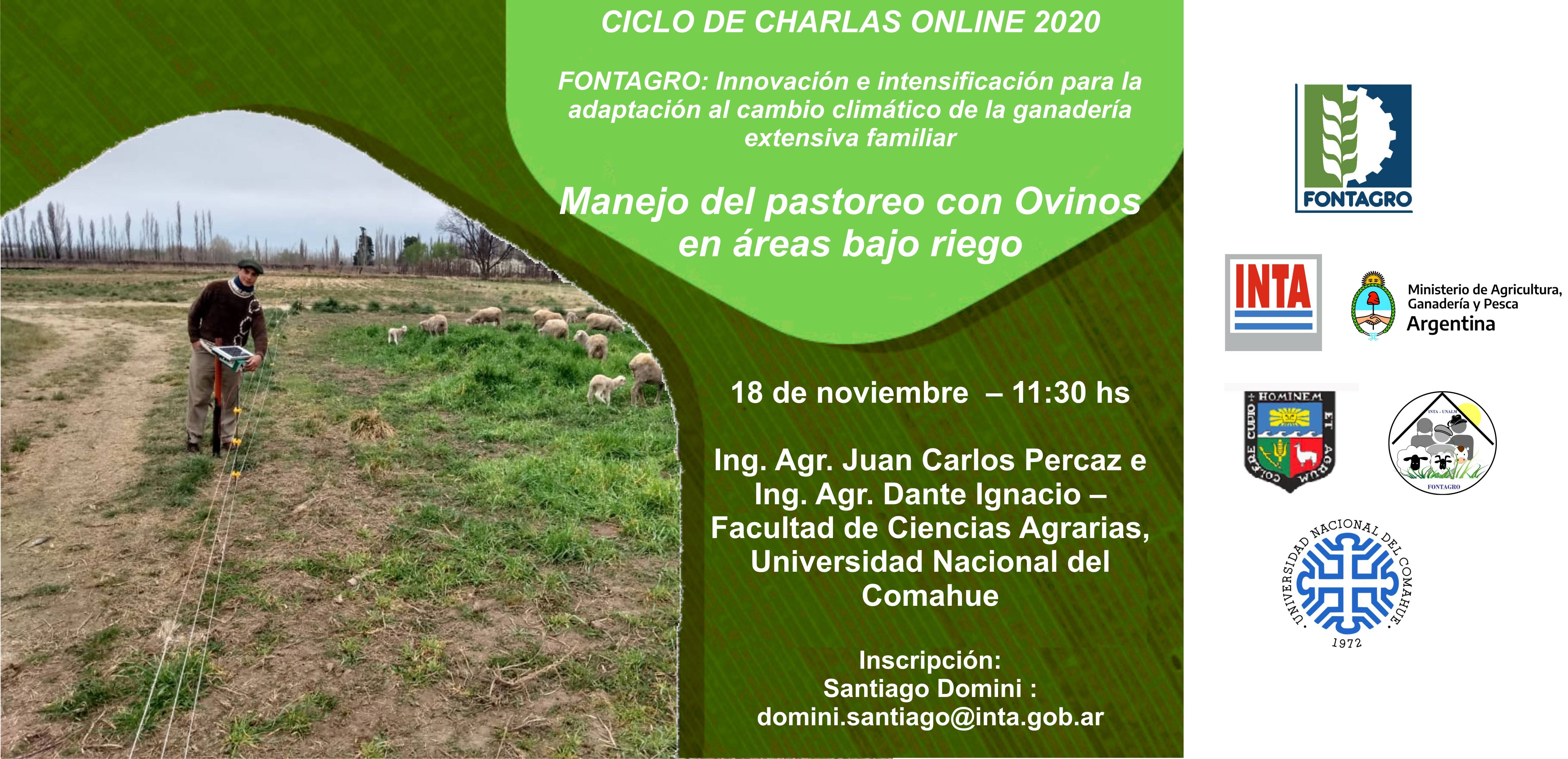 Charla online: el manejo del pastoreo con ovinos en áreas bajo riego