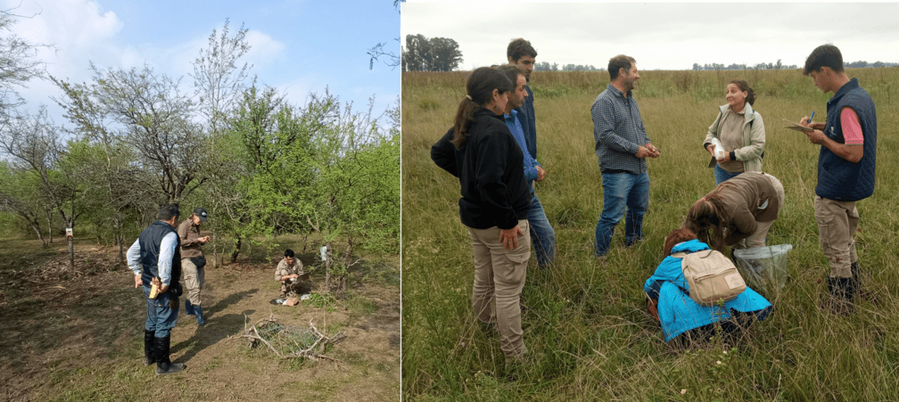Formation of a Biomass Measurement and Forage Quality Field Network