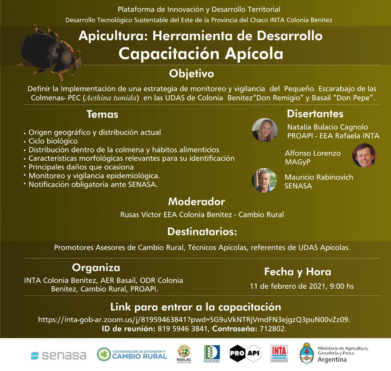 El pequeño escarabajo de la colmena: capacitación virtual