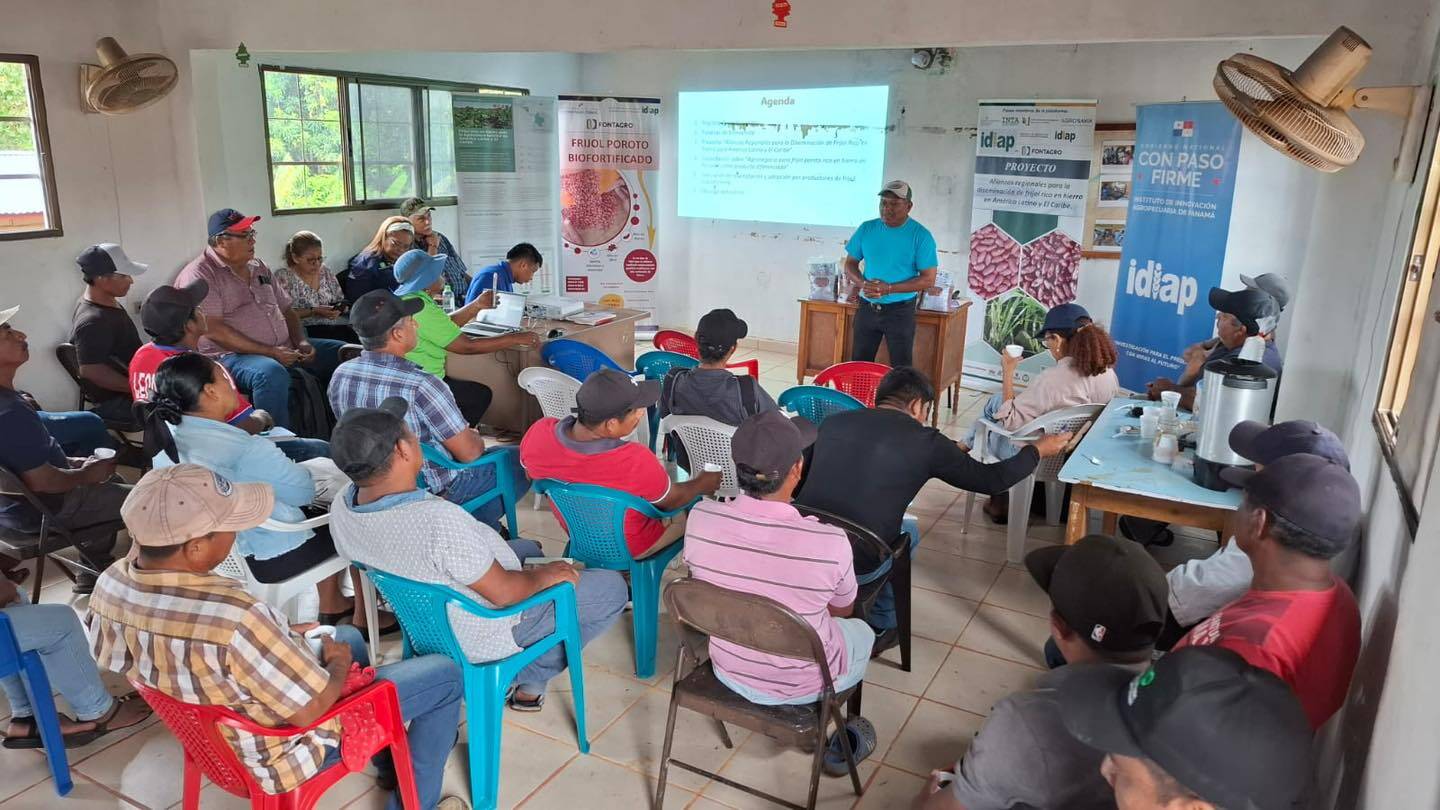 Training in agribusiness and evaluation of adoption by Iron-rich bean producers in Panama