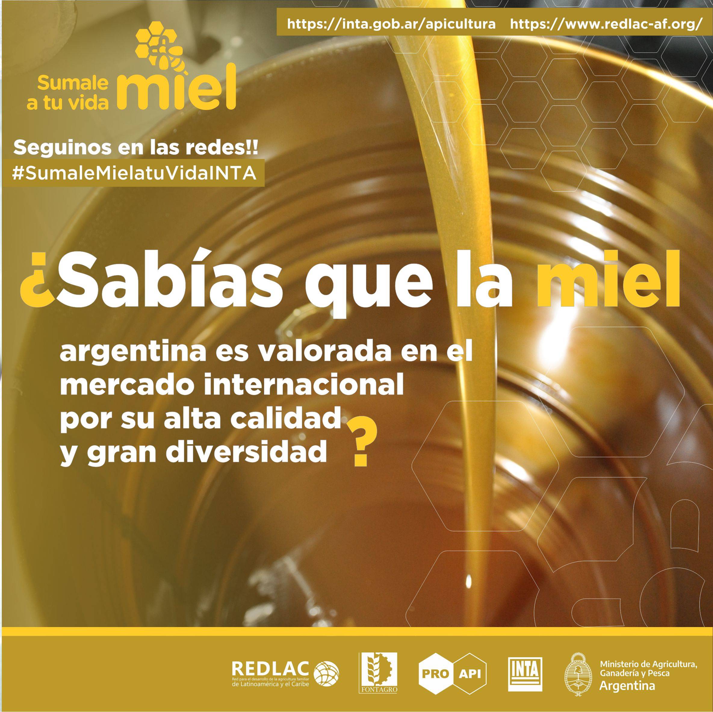 Argentine Honey synonymous with quality and diversity