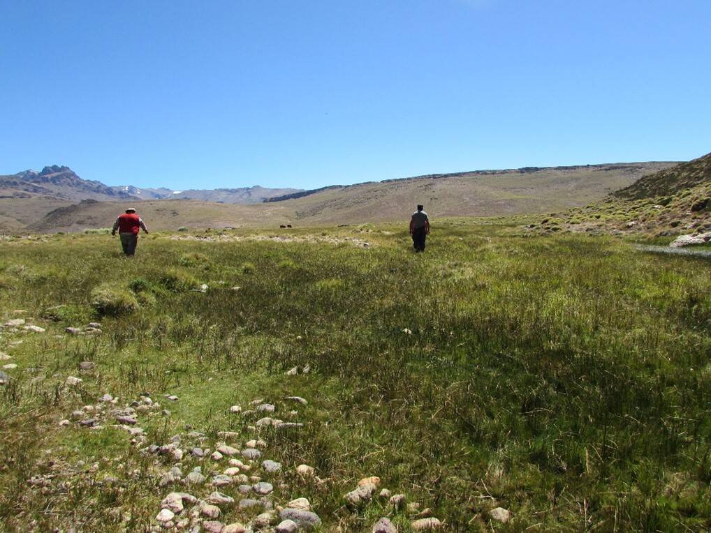 Characterization of Innovation Units in the Mapuche Community of Calfucurá