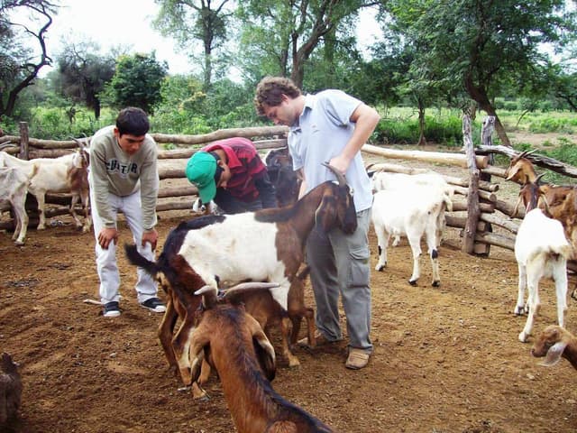Aldo Rafael Smeriglio