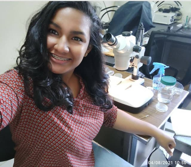 Silvia Chavarría Martínez