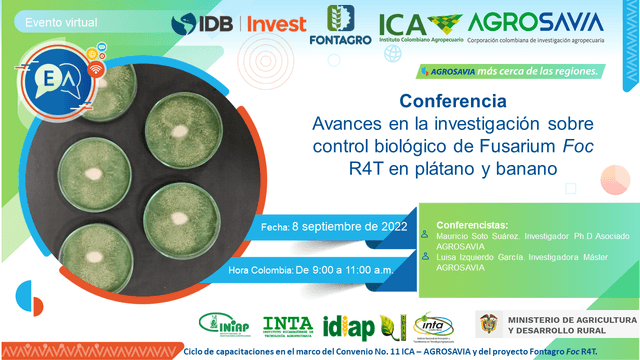 Conferencia Virtual: Avances en investigación sobre control biológico de Fusarium Foc R4T
